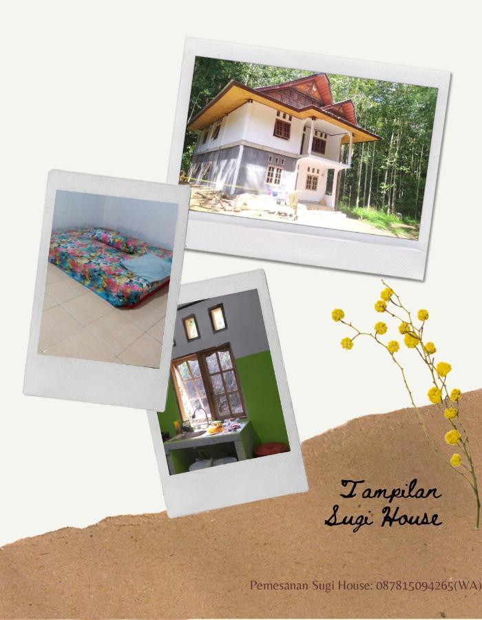 Sugi House Toraja - Villa Penginapan Sewa Harian ランテパオ エクステリア 写真