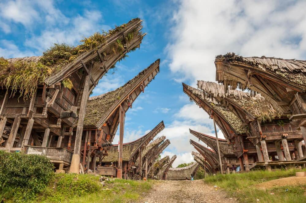 Sugi House Toraja - Villa Penginapan Sewa Harian ランテパオ エクステリア 写真